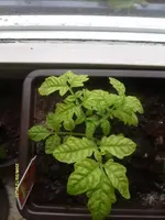 K800_S7302284.webp