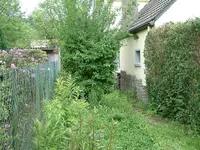 DSCF0067.webp
