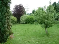 DSCF0087.webp