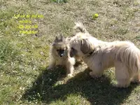 Lenny+Nicki 3-Text.webp