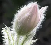 000141.webp