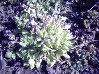 005.webp