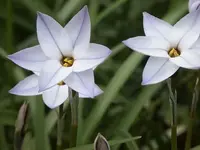 080418_01.webp