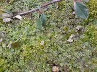 DSC00025.webp