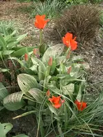 CIMG3398.webp