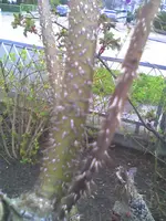 picture014.webp