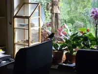 IMGP1195.webp