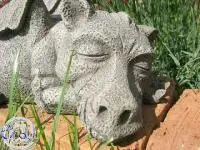 Drache1.webp