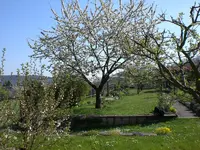 Garten04-2008 011.webp