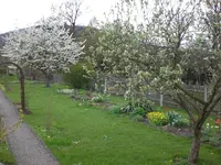 Garten04-2008 005.webp