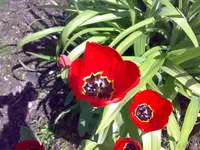 Foto876.webp