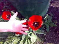 Foto882.webp