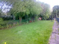 Foto889.webp