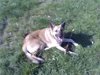 Bild029.webp