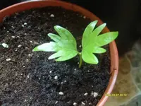 K800_S7302450.webp