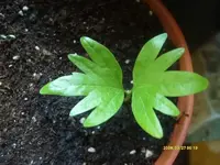 K800_S7302451.webp