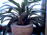 CRIM0073.webp CRIM0073.webp