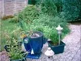 Garten3  3.webp
