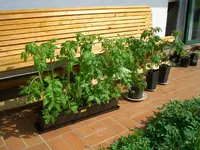 Bild 669.webp