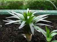(09)_Was_ist_das_1024x768.webp