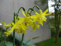 (12).webp