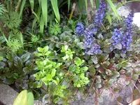 30042008218.webp