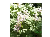 BILD1570n1.webp