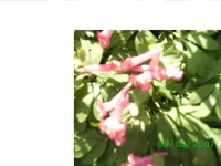 BILD1571n1.webp