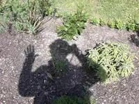 DSCN3965.webp