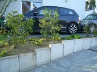 CIMG0044.webp