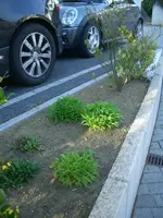 CIMG0045.webp
