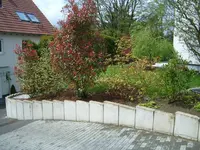 CIMG0001.webp