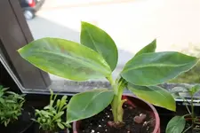 klein_20080503_0120.webp