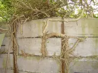 Dsc01756-1.webp
