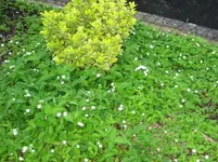 IMG_4678.webp