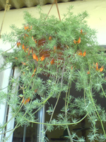DSC00608.webp