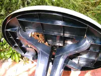 Bild 253.webp