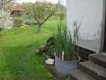 Garten04-2008 023.jpg