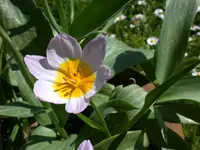 DSCN3978.webp