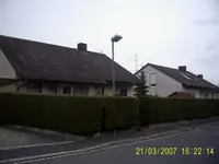 thuja3.webp