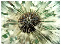 Rätselbild2ganz.webp