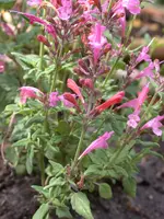 DSCN7643.webp