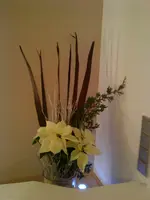 DSC00289.webp