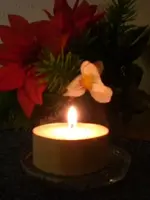 2009-11-27 Teelicht mit Weihnachtsstern.webp