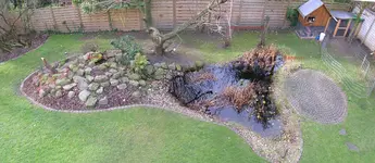 Teich.webp