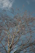IMG_0038.webp