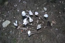 DSC_0096.webp DSC_0096.webp