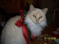 100_2214.webp