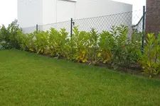 CIMG6100.webp