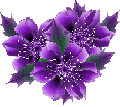 blumen-564.gif